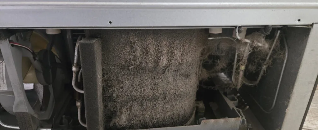 Dirty refrigerator condenser coils choked with pet hair and dust