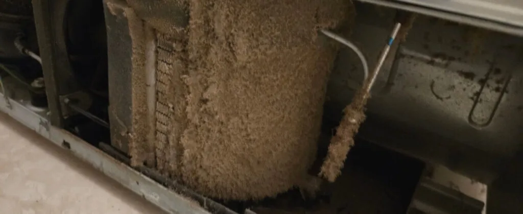 Dirty refrigerator condenser coils covered in dust and pet hair